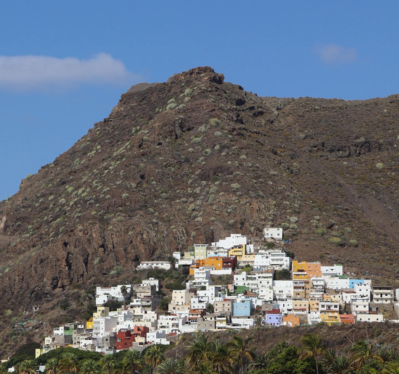 Sta obici na Tenerifima