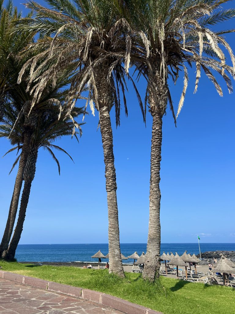 Tenerife jug plaze