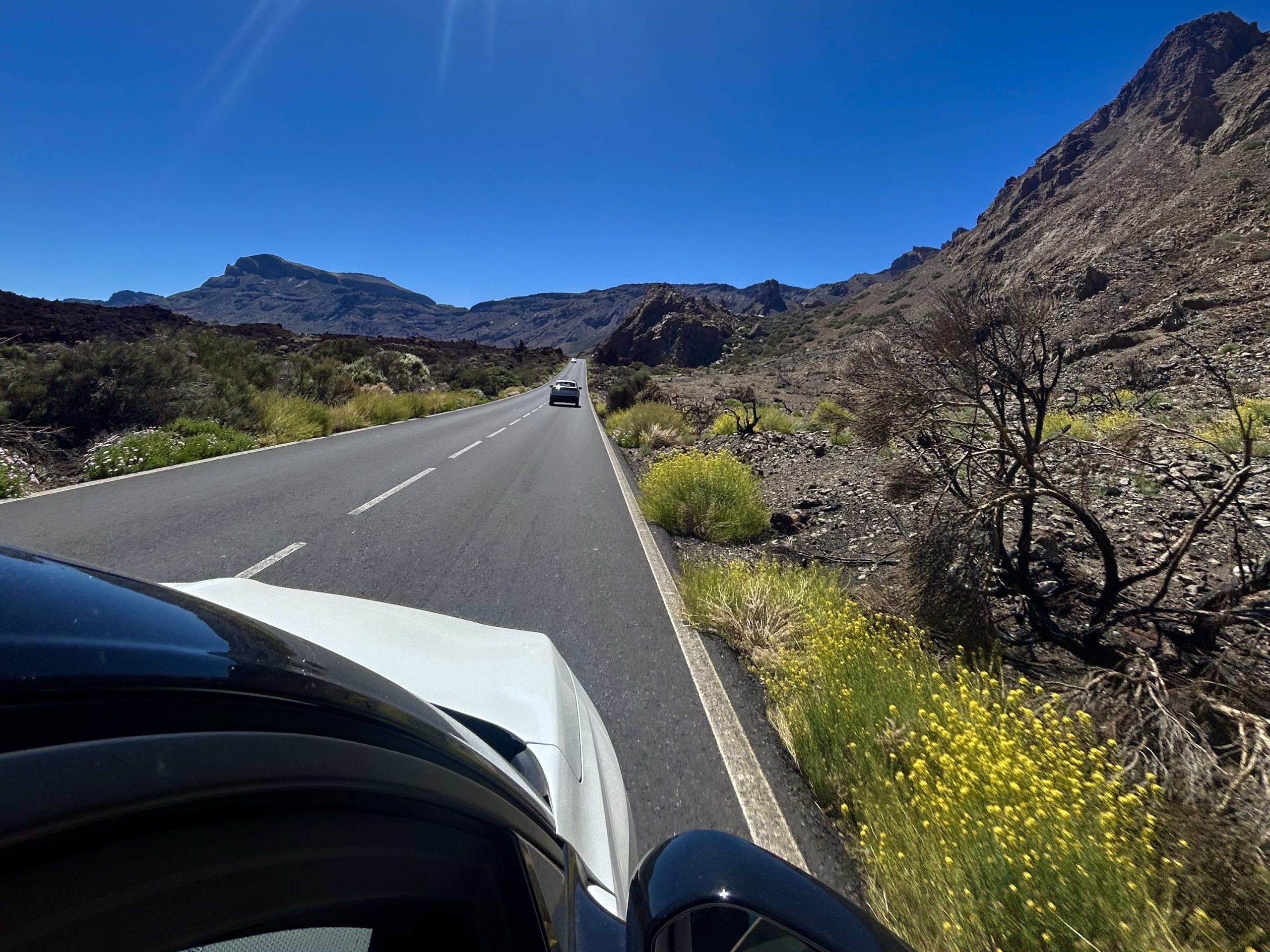 rent a car tenerife iznajmljivanje auta