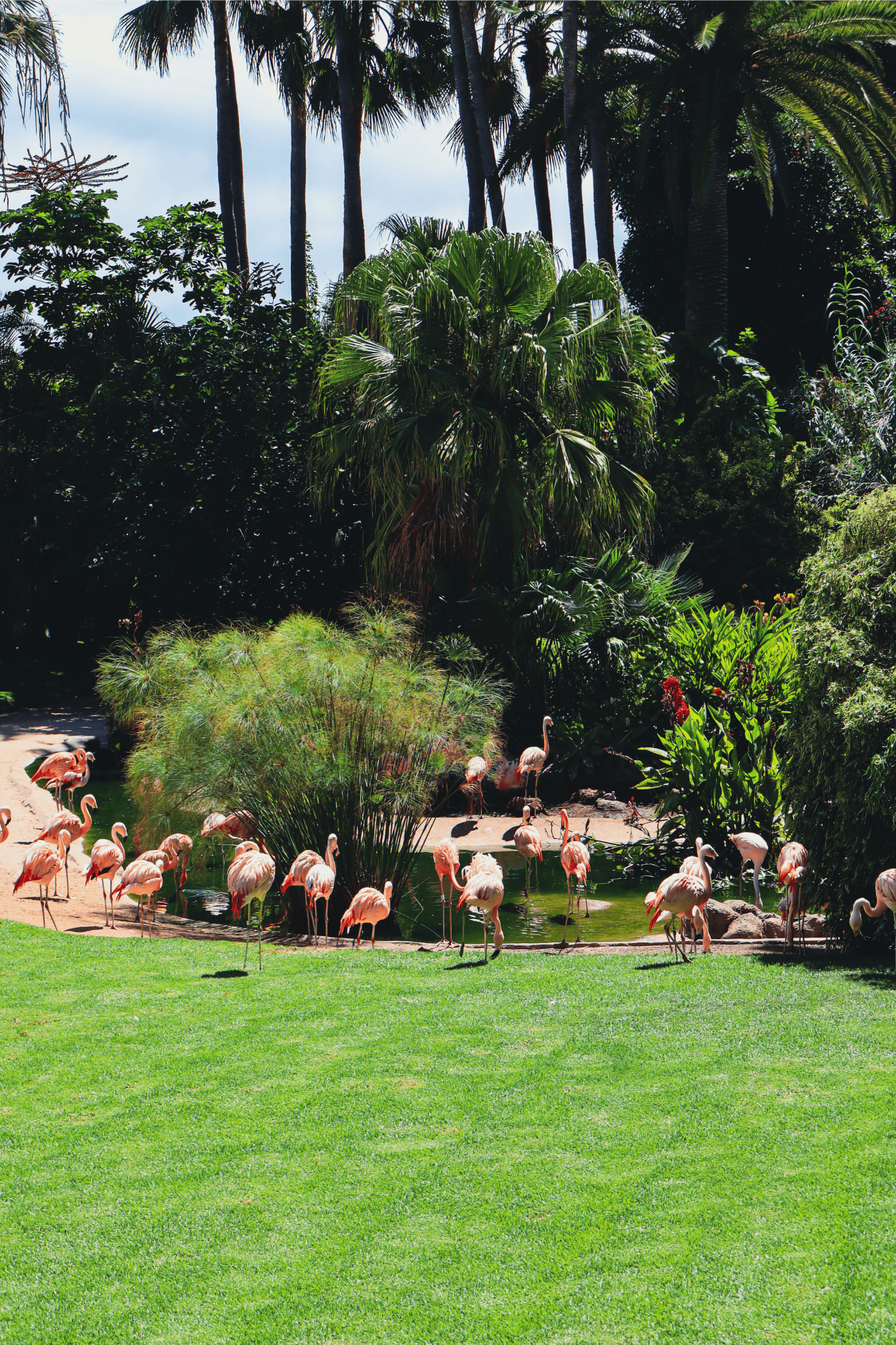 Loro Park Tenerife
